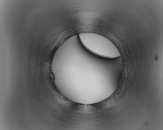 X0000091510379200708170954
