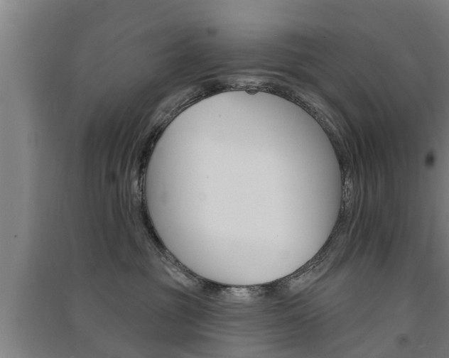 X0000091510381200708170954