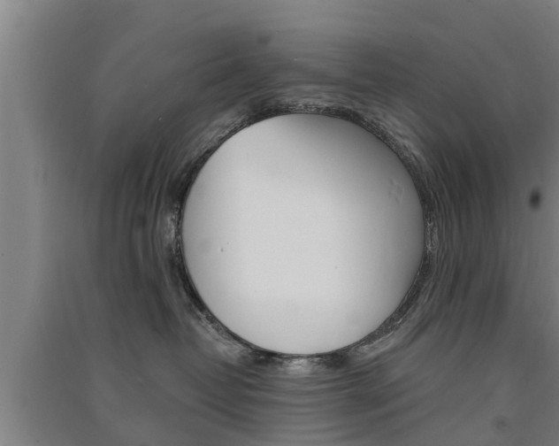 X0000091510382200708170954