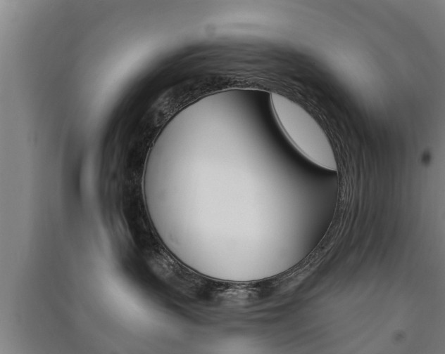 X0000091510383200708170954