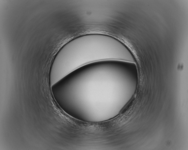 X0000091510385200708170953