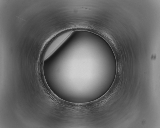 X0000091510388200708170953
