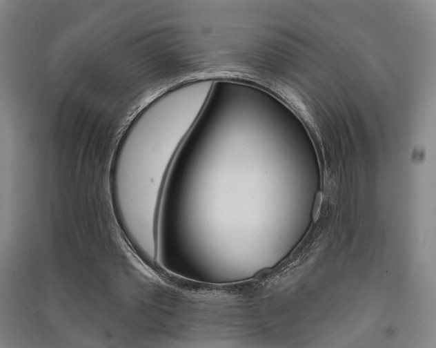 X0000091510389200708170953