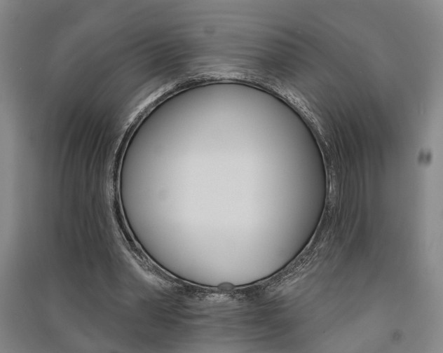X0000091510390200708170953