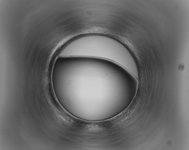 X0000091510392200708170953