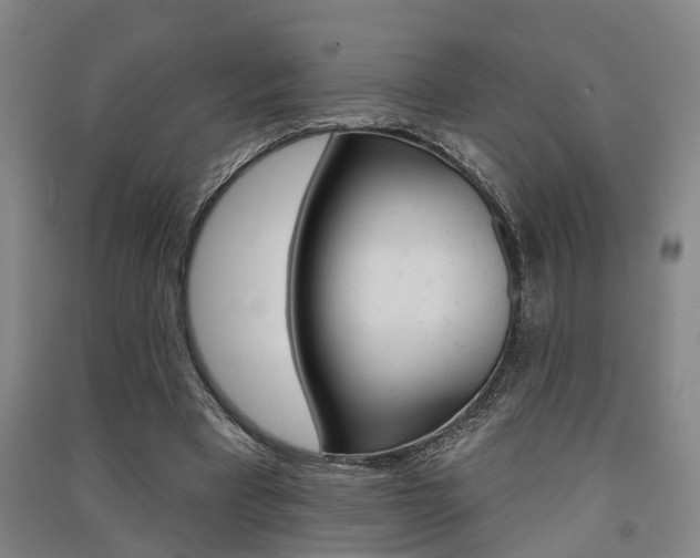 X0000091510393200708170953