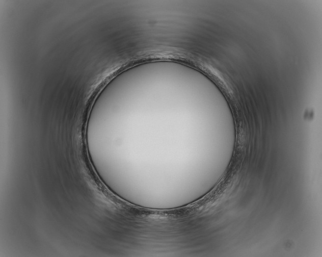 X0000091510394200708170953