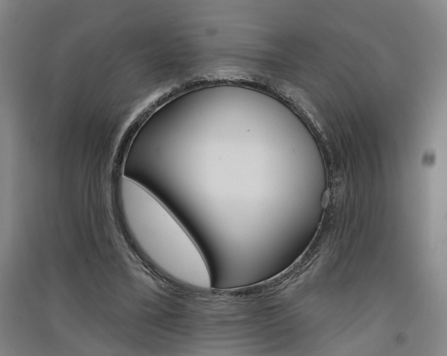 X0000091510395200708170953