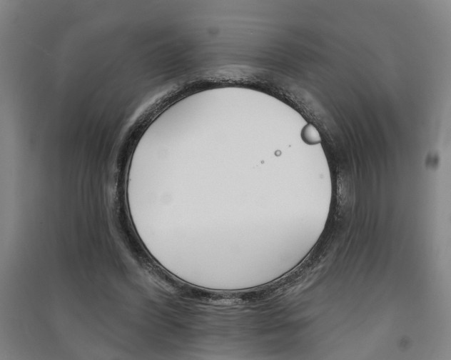 X0000091510396200708170953