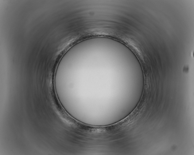 X0000091510398200708170953