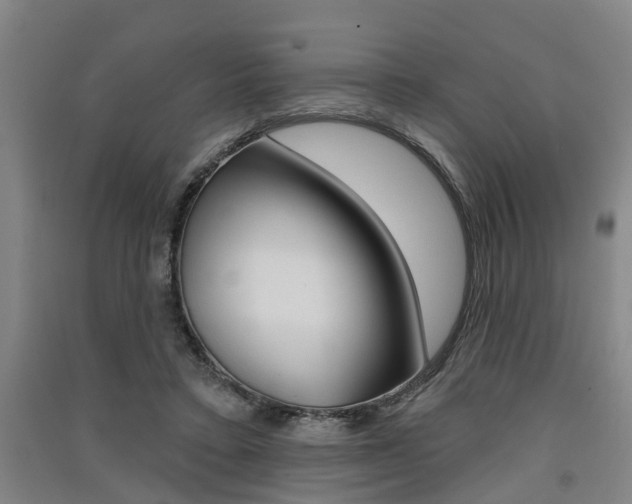 X0000091510403200708170953