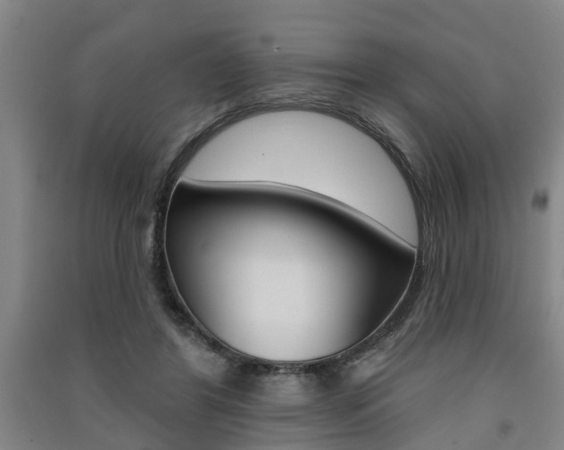 X0000091510404200708170953
