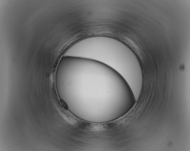 X0000091510405200708170953