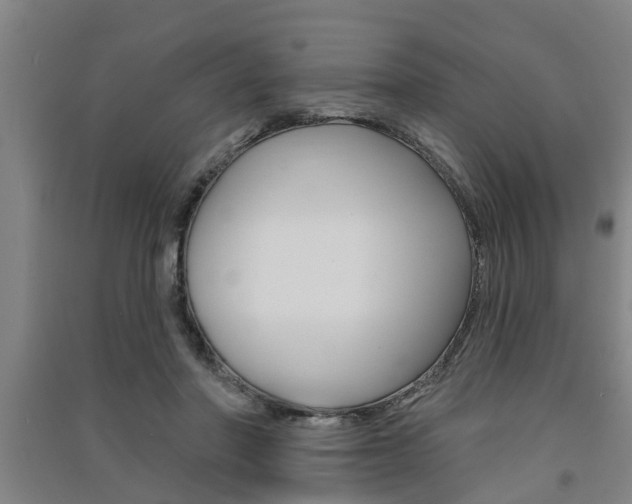 X0000091510406200708170953