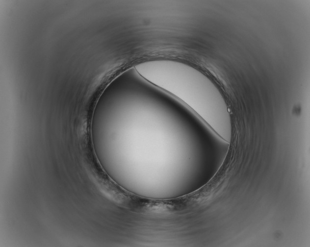 X0000091510407200708170953