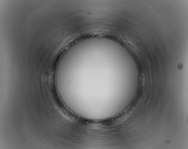 X0000091510408200708170953