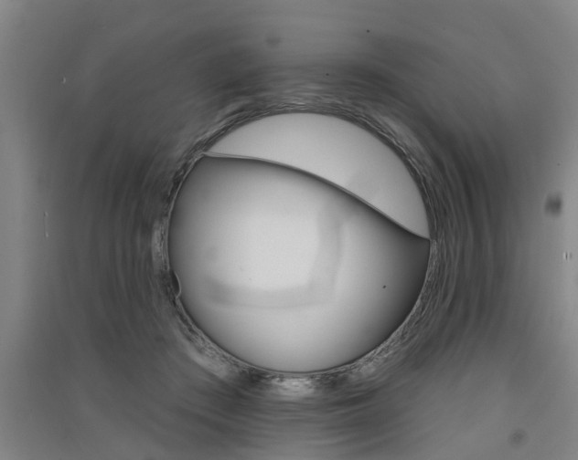 X0000091510409200708170953
