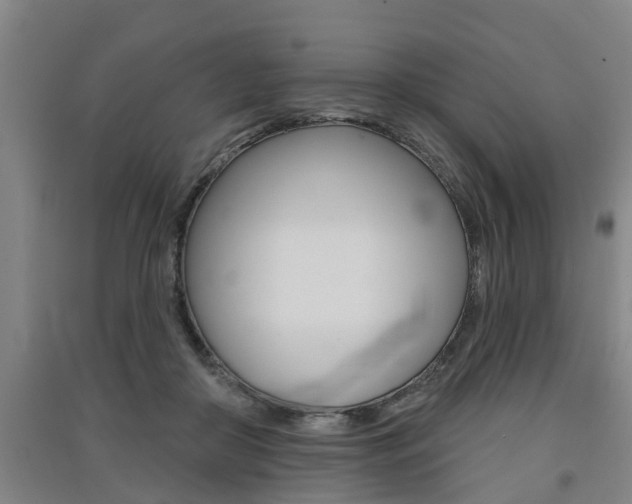 X0000091510410200708170953