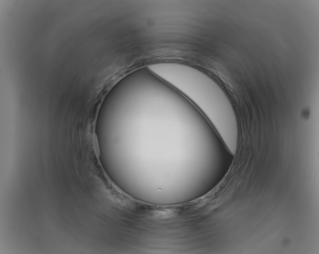 X0000091510411200708170953