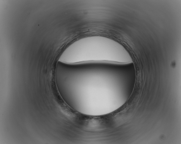 X0000091510412200708170953