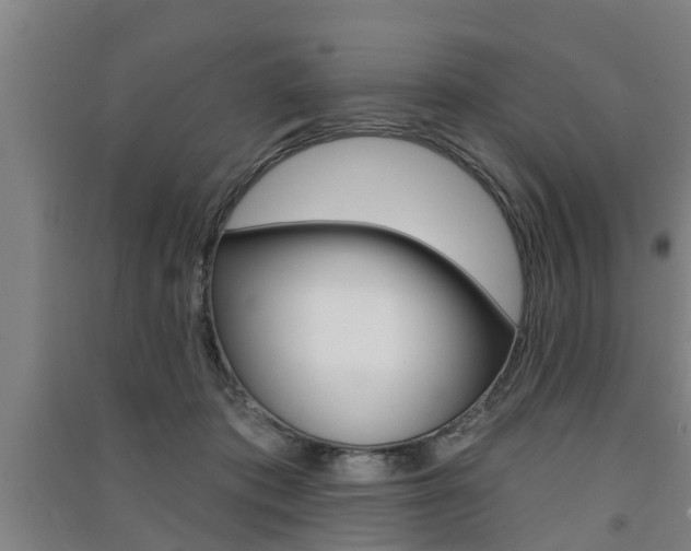 X0000091510413200708170953