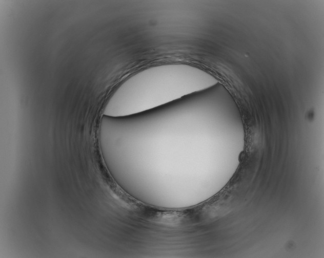 X0000091510414200708170953