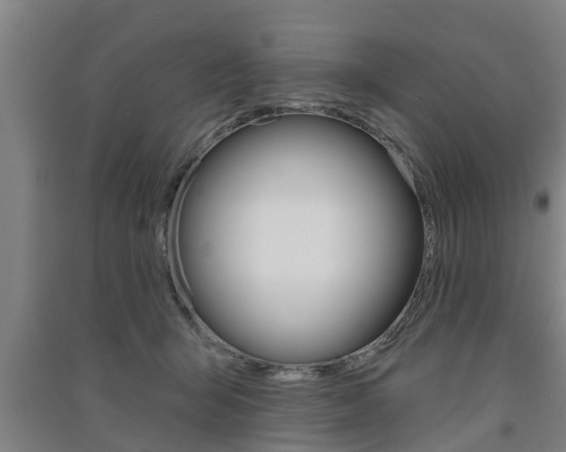 X0000091510415200708170953