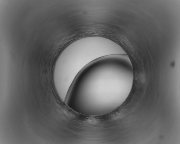 X0000091510416200708170953