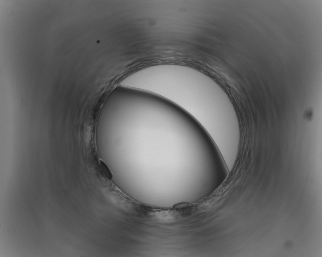 X0000091510417200708170953