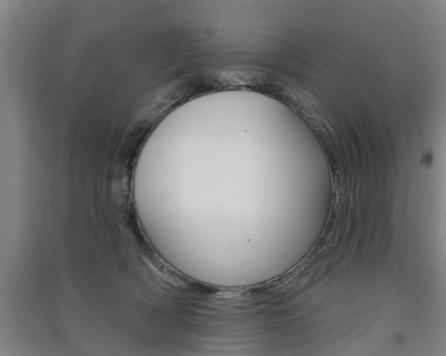 X0000091510418200708170953