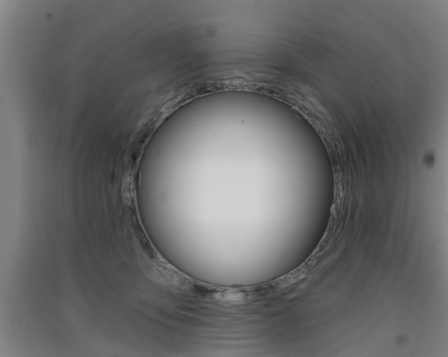 X0000091510419200708170953