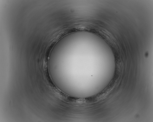 X0000091510420200708170953