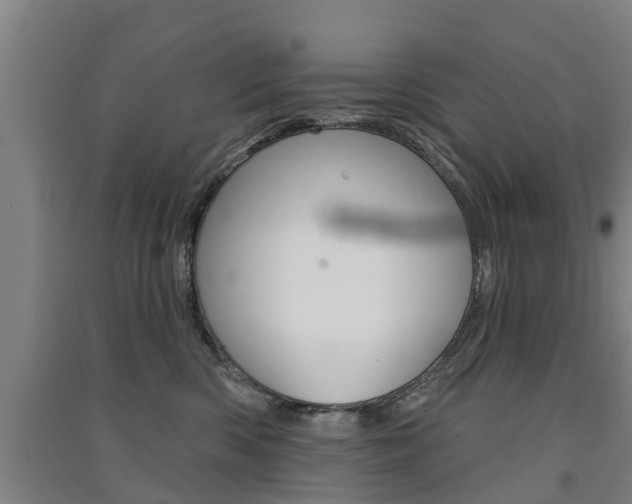 X0000091510426200708170953