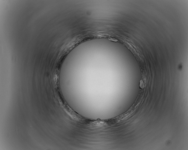 X0000091510427200708170953