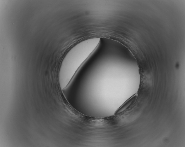 X0000091510428200708170953