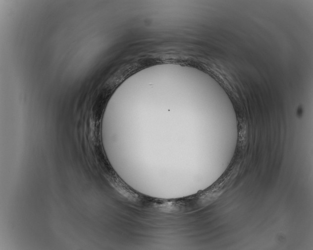 X0000091510430200708170953