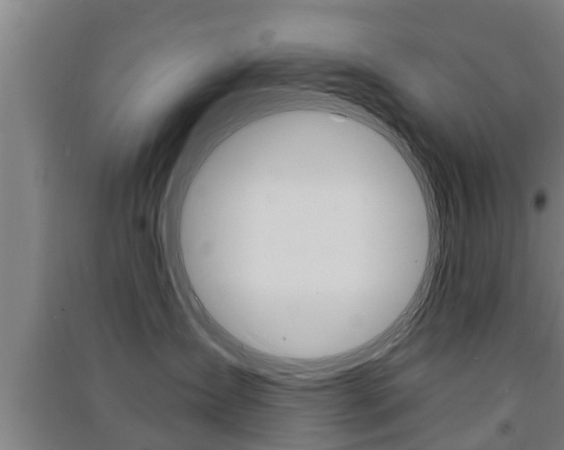 X0000091510431200708170953
