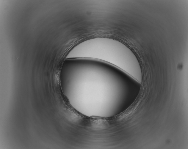 X0000091510432200708170953