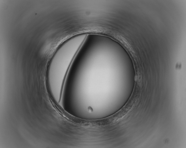 X0000091510434200708170952