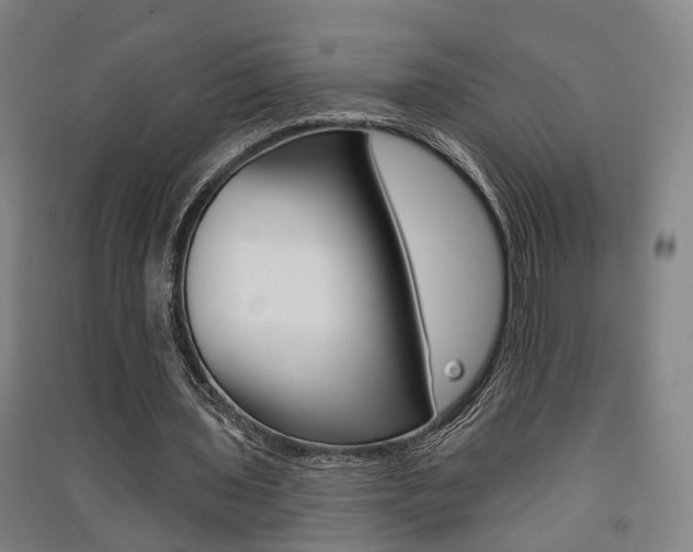 X0000091510435200708170952