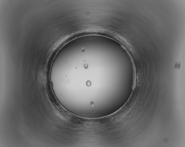 X0000091510436200708170952