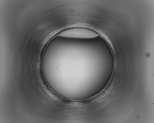 X0000091510437200708170952