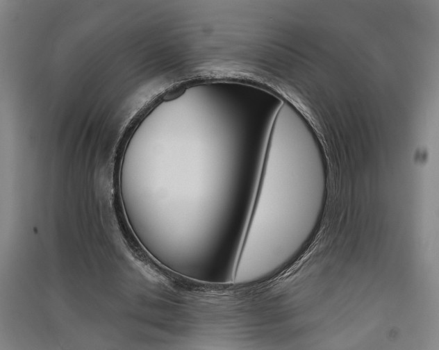 X0000091510438200708170952