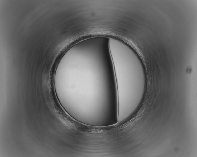 X0000091510439200708170952
