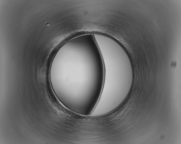 X0000091510440200708170952