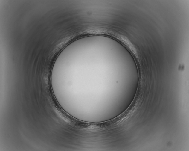 X0000091510441200708170952