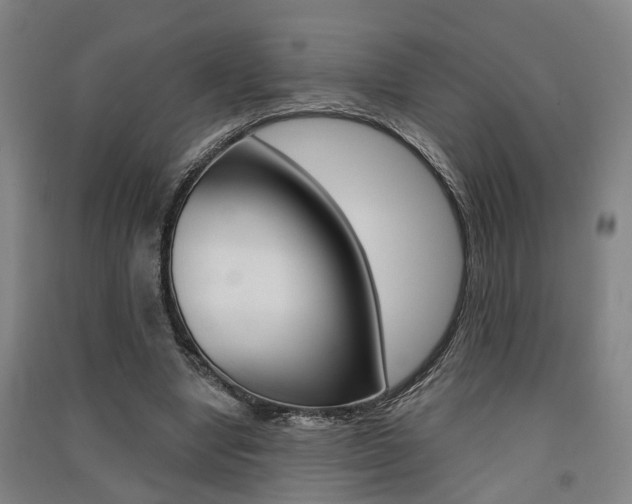 X0000091510442200708170952