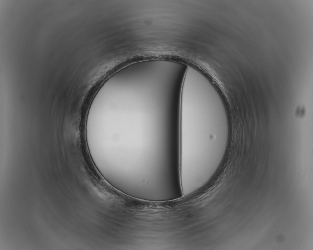 X0000091510443200708170952