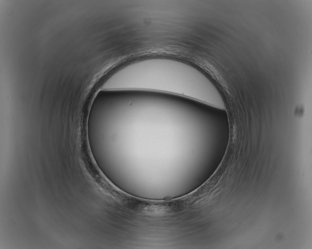X0000091510444200708170952