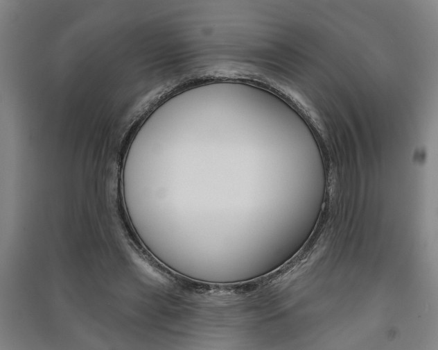 X0000091510445200708170952